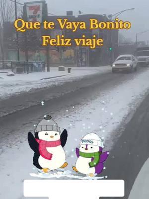 Que te vaya bonito Vicente Fernández #visentefernandez  #nieve #chicagotiktok #viraltiktok #paratiiii #frio #musica #rancheras #mexico 