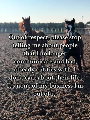 Respect yourself and others. There’s better people out there, find your people 💪 #2025 #removetoxicenergy #ranchlife #horseworld #nobs #fypシ  #movingontobetterthings 