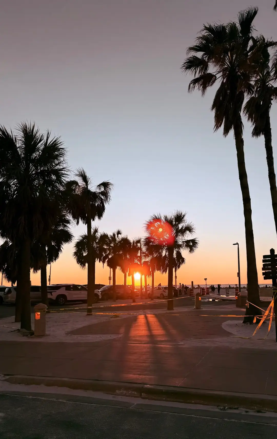 #dogmom #dogsoftiktok #florida #clearwaterbeach #tampa #sarasota #annamaria #venicebeach #bradentonflorida #stpetersburgflorida #largoflorida #dunedinflorida #madeirabeach #orlando #honeymoonisland #treasureiland🌴 #toyaustralianshepherd #vcay 