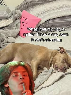 Do you think she heard me? #Meme #MemeCut #memenatal #louthebully #americanbully #pitties #pittiesoftiktok #seattledogs #fyp #everettwashington #pittie 