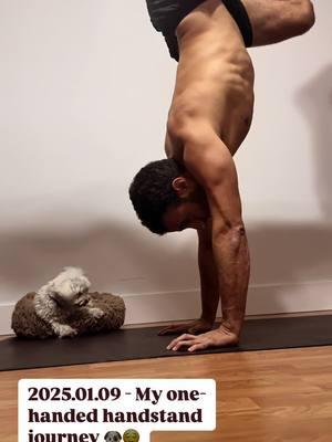 Join me as I document each step of my quest to master the one-handed handstand. Each video, dated for clarity, will give you an insight into the techniques I'm refining, the challenges I face, and the milestones I achieve! Cheers 😌😎, Mikey Peres www.instagram.com/mikeyperes www.tiktok.com/@mikeyperes www.facebook.com/mikeyperes www.michaelperes.com ------ #OneHandedHandstand #HandstandJourney #Breakdancing #bboy #handstand #Calisthenics #TrainingProgress #FitnessGoals #HandstandTraining #StrengthTraining #handbalance #MikeyPeres #MichaelPeres