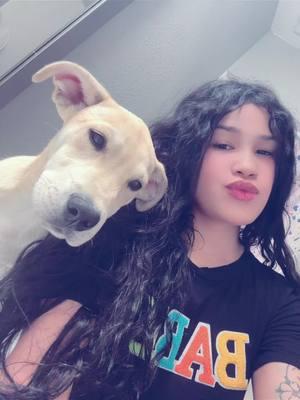 Exploten de amor por sus mascotas🐶🐾#zeus #salsabaulvenezuela🇻🇪🔊 #salsaparavenezolanos🇻🇪❤💃🏻🕺🏼 #salsaromantica😍 #salsa #❤️ #salsaparadedicar #salsadelabuena #salsaparaestados #salsaromanticaparadedicar #salsaromantica😍 #amoalosperros #perritoslindos #mibebeperruno #perritosalseros 