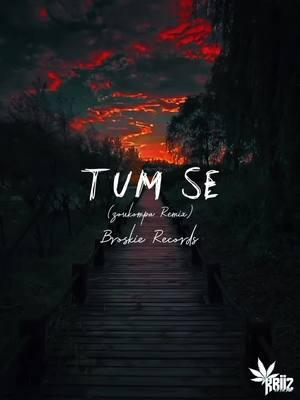 Tum Se (ZouKompa) | #fypシ #trending #tumse #viral #kriizbeats #broskierecords @avish.679 @IMZXIDE🌴 @Anushil Kumar 