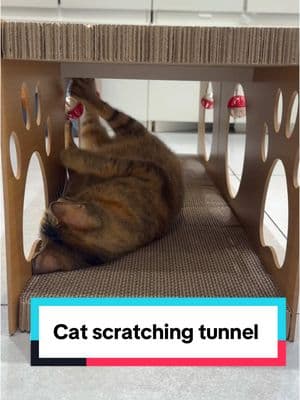 Multifunctional cat scratching tunnel is on sale now!Go and grab it as fast as you can!#pet #newyearnewaura #cat #tiknova #fyp #petspray #petbrush #cutecat #cute #happynewyear #cat #fyp 