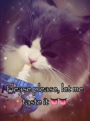 Let me taste it pls 👅👅 #cat #catsoftiktok #sillycat #kitten #vyypilgrim72 #vro #trending #fyp #fyppppppppppppppppppppppp 