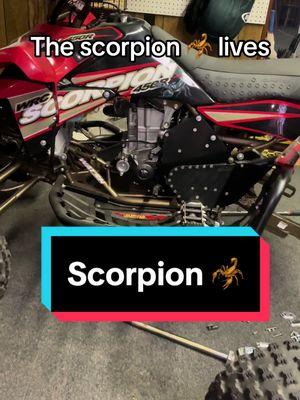 Listen to the scorpion purr  🦂 #walshracecraft #scorpion #walshhybrid #wrc #fyp #foryourpage #3wheeler #trike 