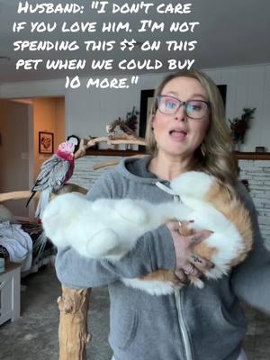 I have had many a husband quote this exact statement to me. Leave that husband. #leaveyourhusband #Relationship #badhusbands #veterinary #veterinarymedicine #vetmed #vetmedhumor #vetmedlife #veterinaryhospital #vettech #vettechlife #vettechtok #vettechsoftiktok #animal #animalsoftiktok #money #empathy #vetbills 