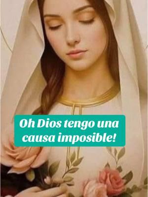 Oh Dios ! Tengo una causa imposible! #oracion #catholicprayer #nattipadilla #catolicos 