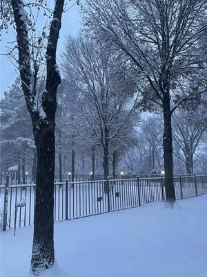 This morning, Arkansas is wrapped in a blanket of soft, shimmering snow, and the world feels quieter, more peaceful. The snowflakes fall gently, painting a serene and calming scene, reminding us of the beauty and stillness nature can offer. I’m deeply grateful for this moment of calm—a chance to breathe and reflect. But as I marvel at this winter wonderland, my heart aches for those in California facing devastating fires. While we are gifted with tranquility, so many are enduring fear and loss. To those affected, our thoughts and prayers are with you. May you find safety, strength, and support during these unimaginable times. May the peaceful stillness here remind us all to hold space for compassion, hope, and a shared responsibility to protect and care for one another. #darbybright #arkansas #snow #snowday #snowstorm #california #winter #winterwonderland 