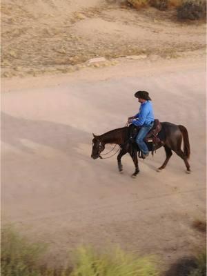 It’s your responsibility to train your horse and ensure that he’s prepared and has the foundation to handle situations that are likely to come up in uncontrollable environments like the trail.  #ApplyTheMethod #downunderhorsemanship #clintonanderson #horse #horsetrainer #horsetraining #horsemanship #colt #dirtroadtraining 