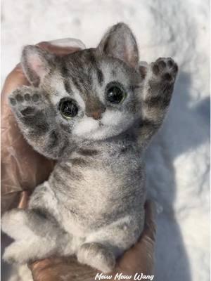 Soft and cute raccoon cat.#cat #squishy #DIY #kitty #ragdoll #puppy #art #custom #fy #handmade #painting #foryou #bird #teddy #craft 