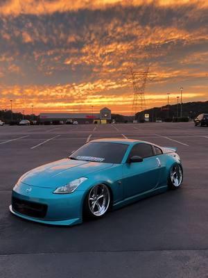 VERY VERY CHEAP ONR POUND FISH 🦍#viral #foryoupage #trending #build #itrieditiprimedit #cartok #350z #airsuspension #static #onepoundfish 