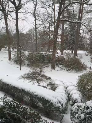 #snow #atlanta #wfh #remotework #fypシ #followers➕ #60secondtheology 