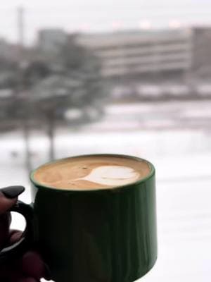 ATL Snow Day  #lattemornings #breville #homecafe #coffee #atlcafe