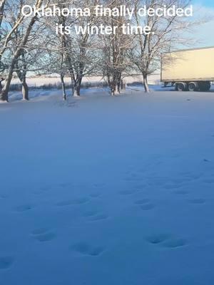 When Oklahoma finally decides it’s winter. #snow #freezingtemps #oklahomawinter #burr #LIVEhighlights #theopalcowgirl #stayinginside 