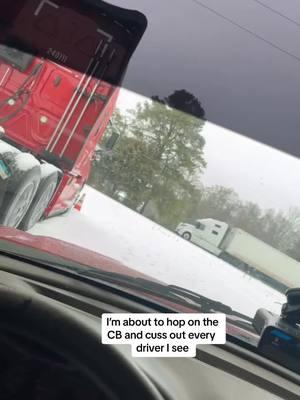 PARK THOSE RIGS #snow #ice #alabama #jamesspann @ABC News @Fox News #fyp #trucker #americantrucksimulator 