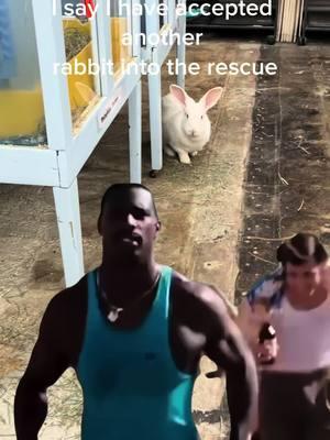 #CapCut #rabbitsoftiktok #rabbitrescue #rabbits #savingrabbits #sandiego #bunny #boss #bosslady #stop #fyf #fyp 