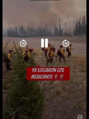 #mexico🇲🇽 #california #bomberosmexico 