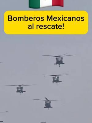 #dúo con @Calpulli_Mexihca #remix #remixlefty #soymexicanoestaesmibandera #ahuevovivamexico🍻🇲🇽🇲🇽 #bomberosvoluntarios #bomberosmexicanos🇲🇽🚒 #enero2025 #notengolosderechosdeautor #foryoupage #paratiiiiiiiiiiiiiiiiiiiiiiiiiiiiiii #foryoupage #ngp3882 #viralvideo #incendioscalifornia #incendios #mexicoyusa🇲🇽🇺🇸 #unidosantelastrajedias 