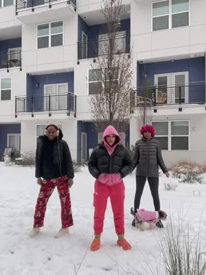 Under the mistletoe 🌿🎄 #funinthesnow #funinthesnowstorm  #blackgirlmagic #myloves💕 #dancinginthesnow❄️ #fypシ゚viral #foryoupage #fyppppppppppppppppppppppp #chelszdoll  @RyeRye @👅👅 