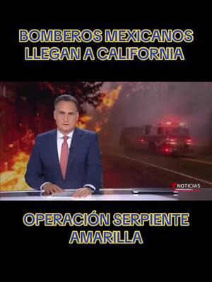 #noticias #foryou #foryoupage #fyp #parati #paratupagina #paratodos #informacion #mexico #bomberos #viral #banderamexicana #incendiosforestales 