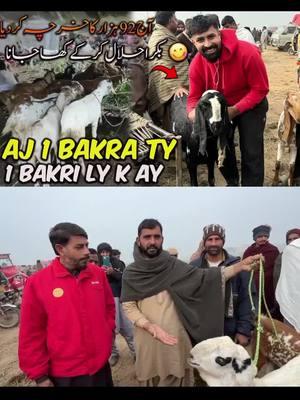 AJ ASI 1 BAKRA TY 1 BAKRI LY K AY | بکرا حلال کر کے کھانا ہے 😆 #foruyou #waqarbhinder 