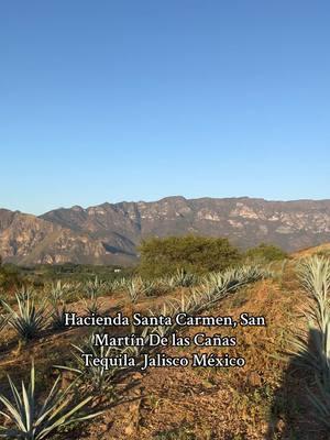 #preparativo #xvaños #Dulce #haciendasantacarmen #tequilajalisco🇲🇽 #mexico🇲🇽 #cdesmeralda #fypシ゚viral 