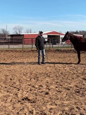 #challengeperformancehorses #godfirst #win #2025contodo #vaquero #vaquera #charro #barriles #escaramuza #consejos