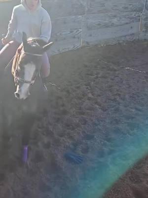 LAS MUJERES QUE TAMBIÉN LAS PUEDEN! 🙌👏💪 SARAI LOYA PONIENDO EL EJEMPLO A LADO DE SU PADRE ALONSO LOYA APRENDIENDO EL BONITO OFICIO DE LA AMANZADA DE CABALLOS!  #Cuadrasierrabrava #caballos #amanzando #potros #cuartosdemilla 