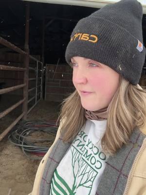 I call this “farming in the winter, a haiku” #thatfeedlotgal #haiku #poetry #agriculturetiktok #agtiktok #eatbeef #dairygirls #farmin #womeninagriculture 