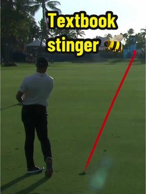 A Gary Woodland special at the 2019 Sony Open in Hawaii 😮‍💨 #TOURVault #PGATOUR #golftiktok #golf #highlight #stinger #hawaii 