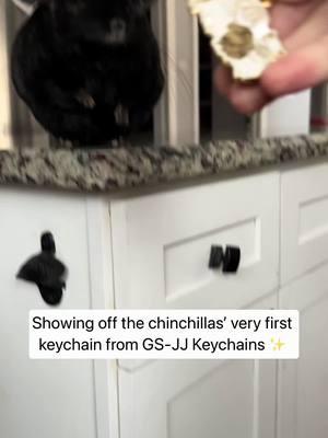 We are so excited to show off our new Chinpals keychain from GSJJ!! 🤩 I love it so much!! Customize your own keychains: https://bit.ly/4gBAMmI @gsjjofficial #sponsored #gsjj #customkeychains #keychains #custom #keychains 