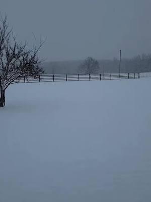 Winter Storm Cora 2025. The Beauty of Winter.#notbothered #beauty #thisishome #winter #storm #cora #winterstorm2025 #alone #2025 #missouri #farmlife #fyp 