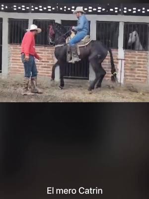 y puro rancho el capi ay la lleva el catrín AA #nohorsenolife #ranchoelcapi #frisianhorse #dancinghorse #caballosbailadores #caballosespañoles #riendacharra #caballosaltaescuela #jaliciense #jaliscomexico #fypシ 