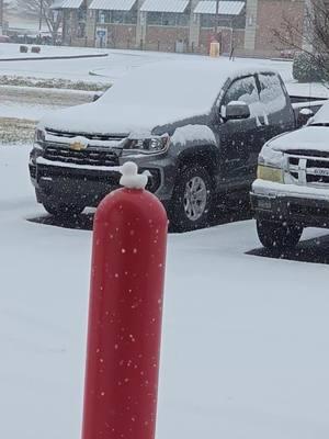 When they are calling for snow in Tennessee and you have a friend with a 3d printer printing snow molds you bring one to work to have some fun. #snowintennessee 