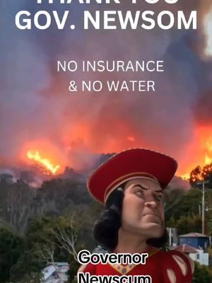 #CapCut Los Angeles it is surrounding areas are burning with several wildfires. Governor Gavin newsom and government officials from California don't take accountability. a lot of this could have been prevented #california #wildfires #losangeles #pacificpalisades #hollywoodhills #altadena #pasadena #eatoncanyon #gavinnewsom #karenbass  #govenment #noaccountability #corruptgovernment #losangelesfires 