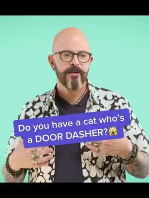 How to stop door dashing! #cats #catsoftiktok #doordashing #catbehavior #catlovers #advice 