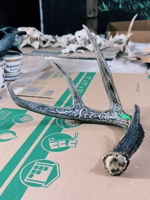 Shed antler carvs #skullsmillworks #shed #shedhunting #shedhunter #shedhuntersoftiktok #carve #fyp #skullporn #huntingtiktok #proposal #marriage #carving 