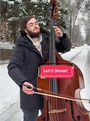 Happy Snow Day! Follow Insta in case ban! #doublebassistsoftiktok #doublebass #letitsnow #letitsnow❄️ #doublebasscover #doublebasstok #wintermusic #snowdays #snowday2025 #letitsnowletitsnow 