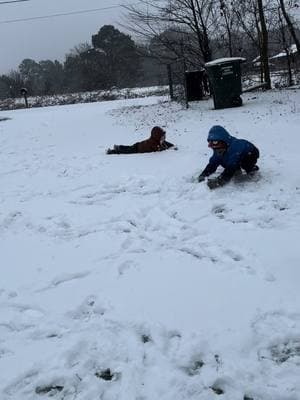 Snow day #snow #snowday #playtime #cachorrofeliz