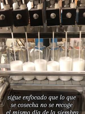 sigue enfocado que lo que se cosecha no se recoge el mismo dia de la siembra #moreno #negocios #texas #latinos #noncdlhotshot #beaumonttx #noncdltruck #camioneros #morenoglobal #hotshot #cdllife #hotshotenespañol 