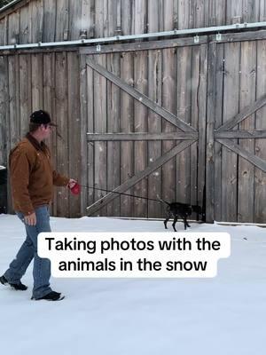 The photos of the girls are on my insta! Sydney_oneal101 #snow #snowpictures #barrelhorse #donkey #coldweather #snowday #sydneyoneal #trending #fyp 