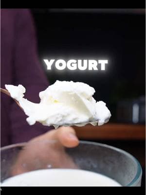 Homemade Yogurt For Healthy Gut #homemadeyogurt #howtomakeyogurt #lactobicilus #guthealth 