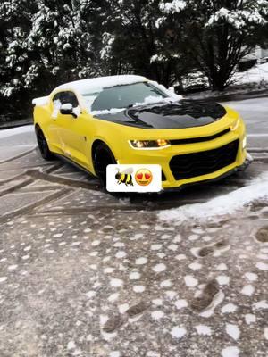 😍🐝 #bee #bumblebee #camarors #transformer #fypシ #camaro6 