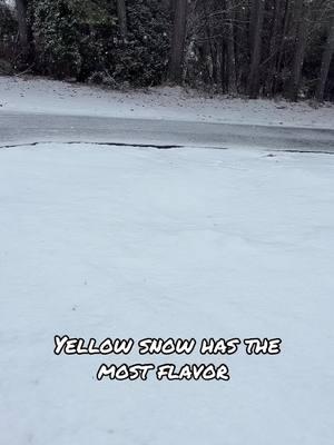 I love to eat yellow snow. It has the most flavor. #fypシ゚viral #foryoupage #foru #for #snow #yellowsnow #omg #lol #😂😂😂 