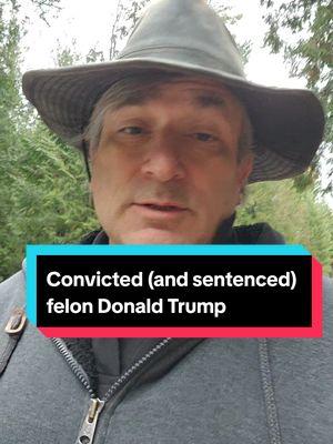 Seriously, how do we say it? #fafo #donaldtrump #felon #potus #convicted #presidentelect #english #title #bebetter #protest #humorous #sorrynotsorry 