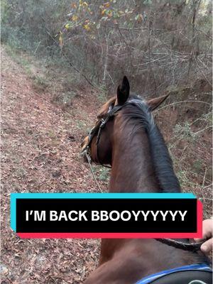 The last time I was active on this page was due to that dumb horse abuser who’s name I refuse to mention. I’m ready to start posting for ME again! Be ready!! #equestrianthings #horsetok #equestrianlife #horsetrainer #horsetrainersontiktok #horsetraining #horses #hunterjumper #hunterjumpers #hunterjumpertrainer #ottbsoftiktok #CapCut 