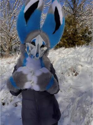 NO SCHOOL #snow #snowday #skulldog #dvcskulldog #fyp  #fursuitmaker #coolfursuits #greenribbonworks #furry #fursuit #dinomask 