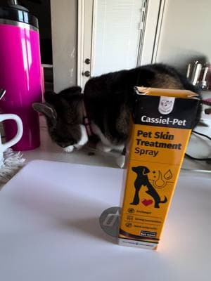 Trying out this skin treatment spray. Hoping it works. So many products out there and you never know what’s gonna work.  You can use it on cats and dogs.🙂#c#cassielpetc#catsd#dogsh#hotspotsi#itchingh#hairremoval