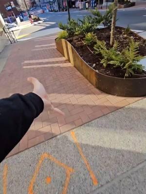 What did the city expect!? REALLY!?!? #Skateboarding #skate #skater #skateboard #skating #pov #fyp #fypシ #foryou #foryoupage 